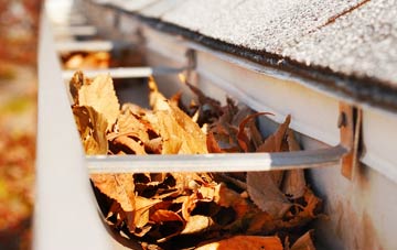 Dryburgh gutter cleaning companies